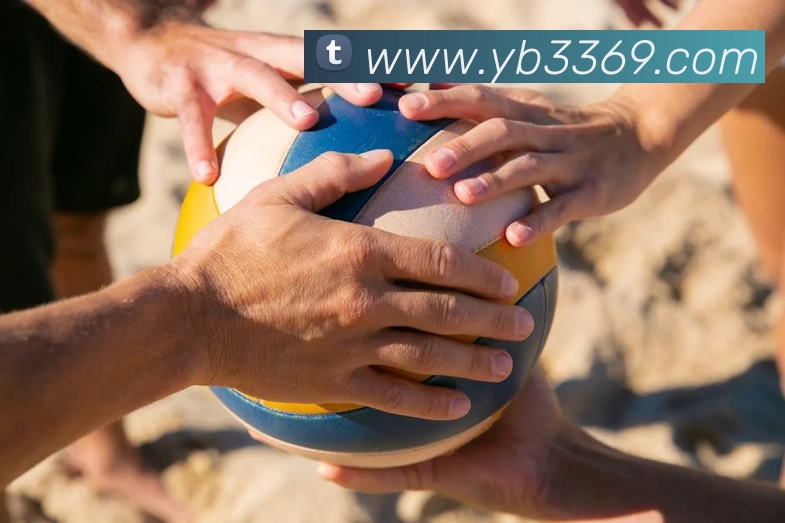 yabo体育平台官网入口全站App